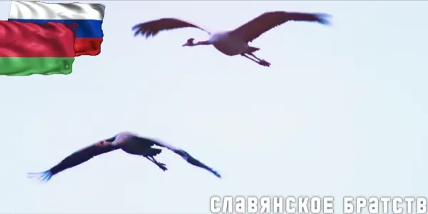 День единения народов Беларуси и России