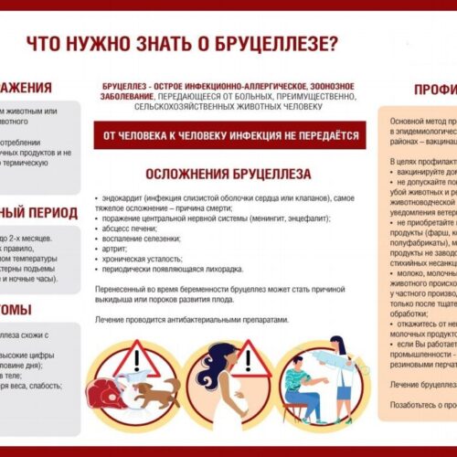 Особо опасные инфекции в мире: Бруцеллез