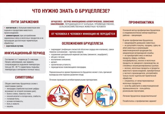 Особо опасные инфекции в мире: Бруцеллез