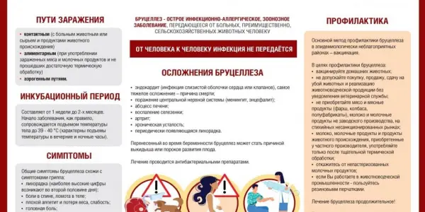 Особо опасные инфекции в мире: Бруцеллез