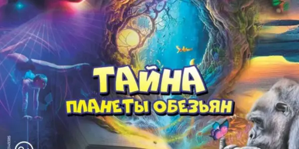 Цирк шапито