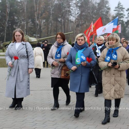 Митинг, посвящённый 107-летию Октябрьской революции