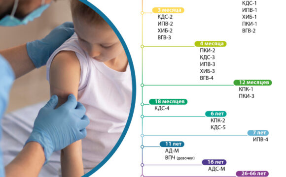 В Республике Беларусь обновлен Национальный календарь прививок.