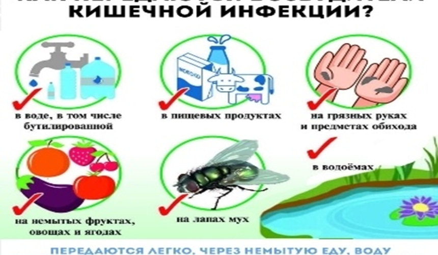 Профилактика острых кишечных инфекций