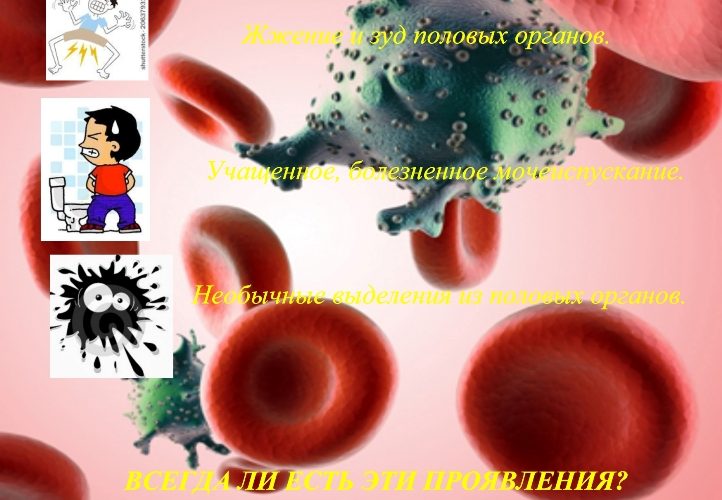 21 февраля — День профилактики инфекций, передающихся половым путем