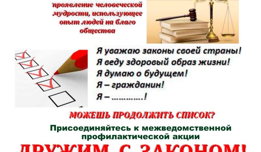 Междведомственная профилактическая акция «Дружим с законом!»
