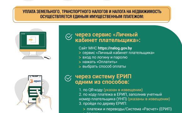 17 ноября — срок уплаты имущественных налогов физическими лицами
