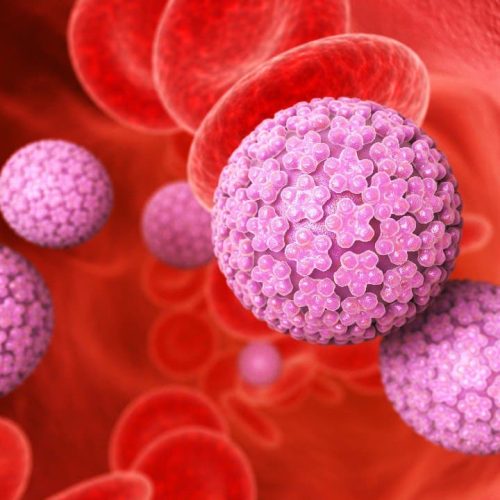 Вакцинация против вируса папилломы человека: что важно знать!