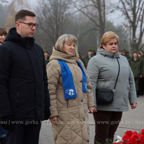 Митинг, посвящённый Дню Октябрьской революции