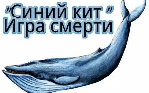 И вновь «Синий кит» угрожает подросткам. Что важно знать родителям!