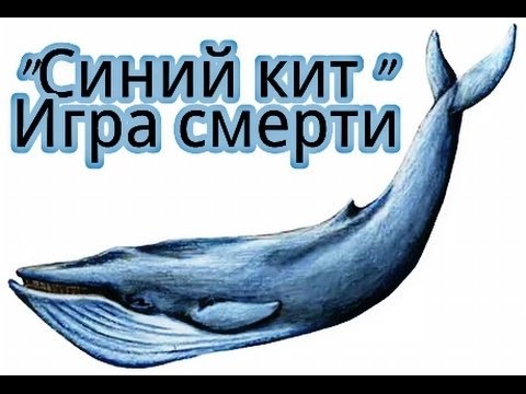hqdefault И вновь «Синий кит» угрожает подросткам. Что важно знать родителям!