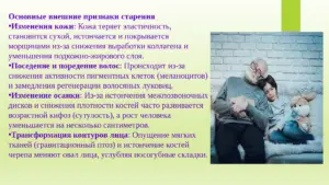 Слайд 3. Про особенности людей пожилого возраста