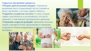 Слайд 4. Про особенности людей пожилого возраста