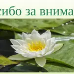 Слайд 10. Про особенности людей пожилого возраста