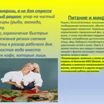 Слайд 4. Здоровье женщины — формула успеха на работе и дома
